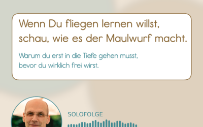 01-001 Podcast Wenn du fliegen lernen willst, schau, wie es der Maulwurf macht.
